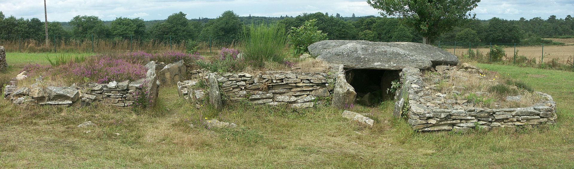Site mégalithique de Larcuste